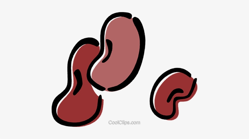 Kidney Bean - Gif Fagioli, transparent png download