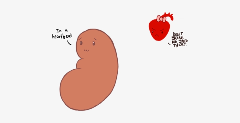 Image - Happy Kidney, transparent png download