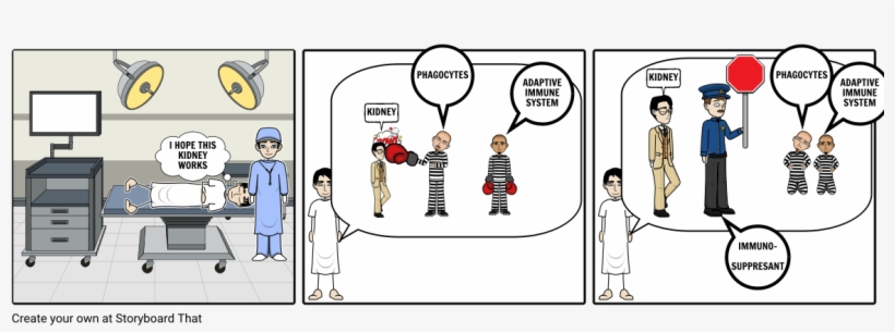 Kidney Transplant - Cartoon, transparent png download