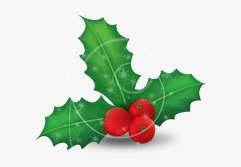 Christmas Mistletoe, transparent png download