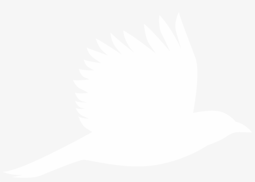Animal Dna Testing - Immigration, transparent png download