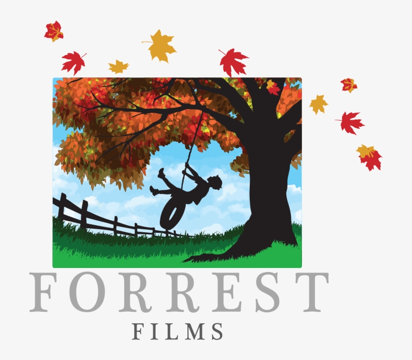 Forrest Films 2017 / All Rights Reserved - Film, transparent png download