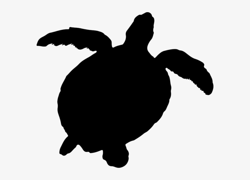 Tortoise At Getdrawings Com Free For Personal - Sea Turtle Silhouette Png, transparent png download