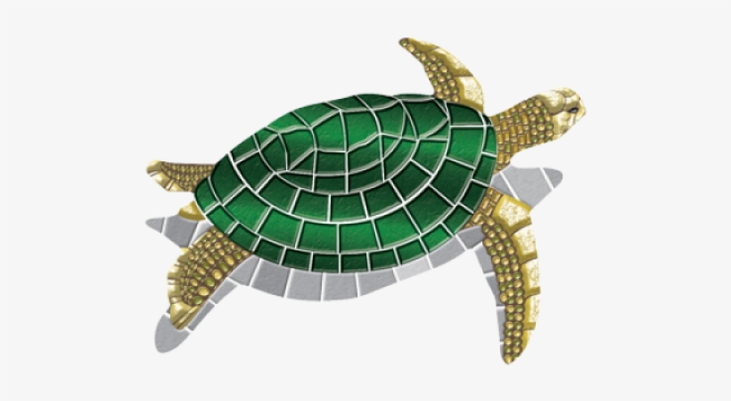 Sm 30" - Turtle Decorative Pool Mat, 40" By 30", Vinyl, transparent png download