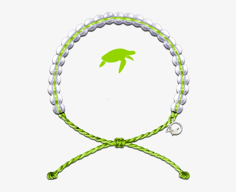 4ocean - Turtle Special, transparent png download