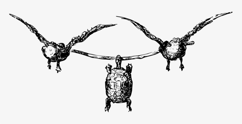 Sea Turtle Owl Black And White Computer Icons - Boastful Turtle, transparent png download