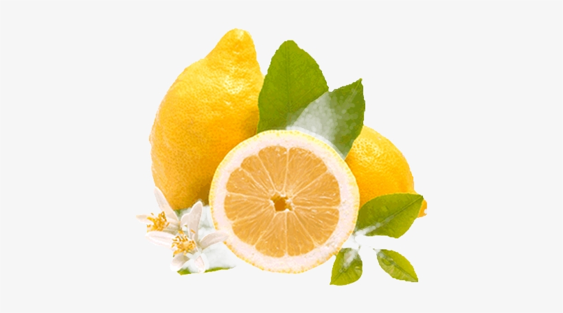 Limon - Rangpur, transparent png download