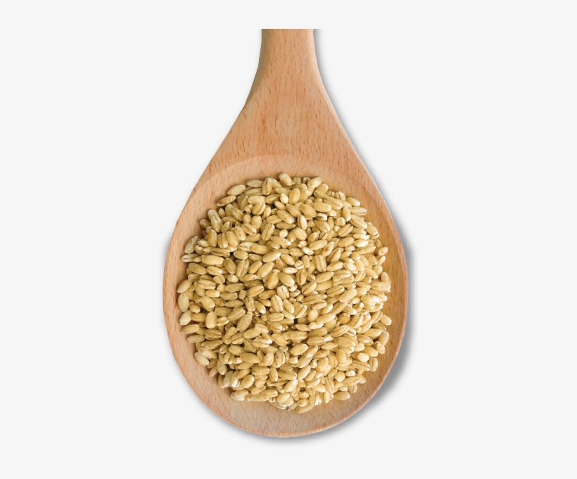 With Its Rich Texture, Pearl Barley Makes An Excellent - Ottawa Valley Grain Products Inc., transparent png download