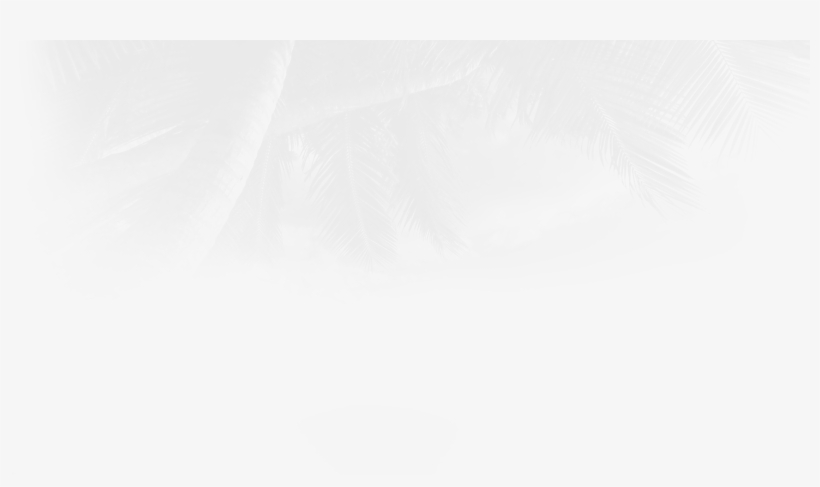 Palmleafs - Print And Décor Tropical Beach Scene Wall Mural Covering, transparent png download