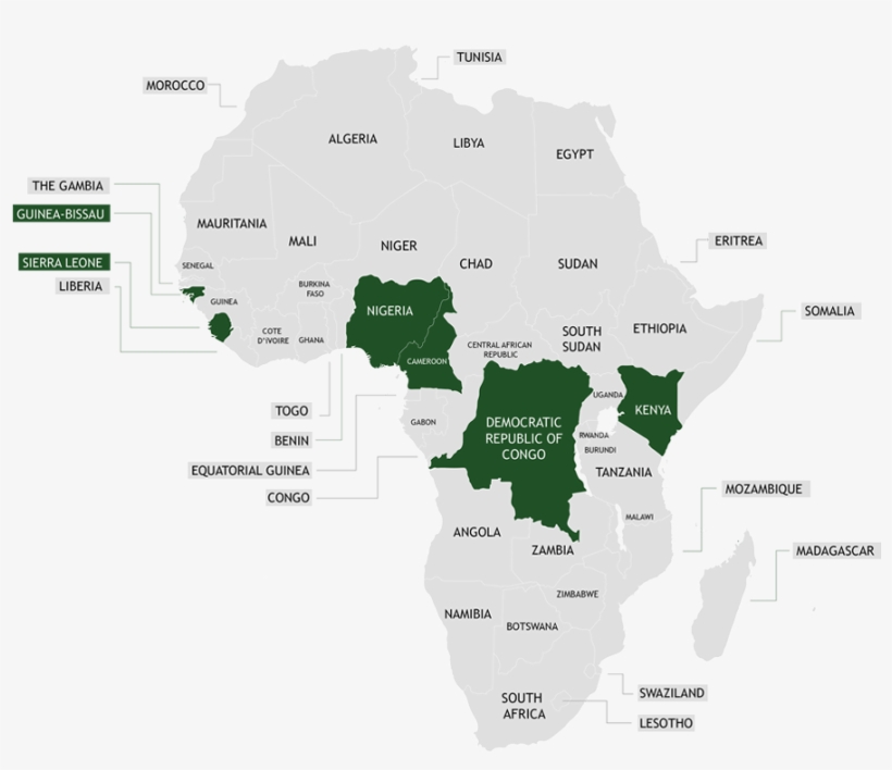Map Of Africa - Cholera In Africa Map, transparent png download