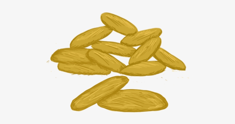 Barley Biscuit - Seed, transparent png download