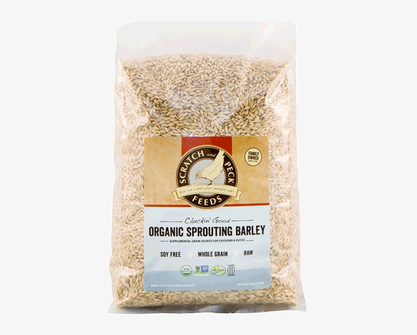 Scratch Peck Feeds Organic Sprouting Barley - Barley, transparent png download