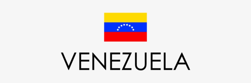 Venezuela Floral Vibes, Venezuela Con Bandera - Embassy Of Ireland Logo, transparent png download