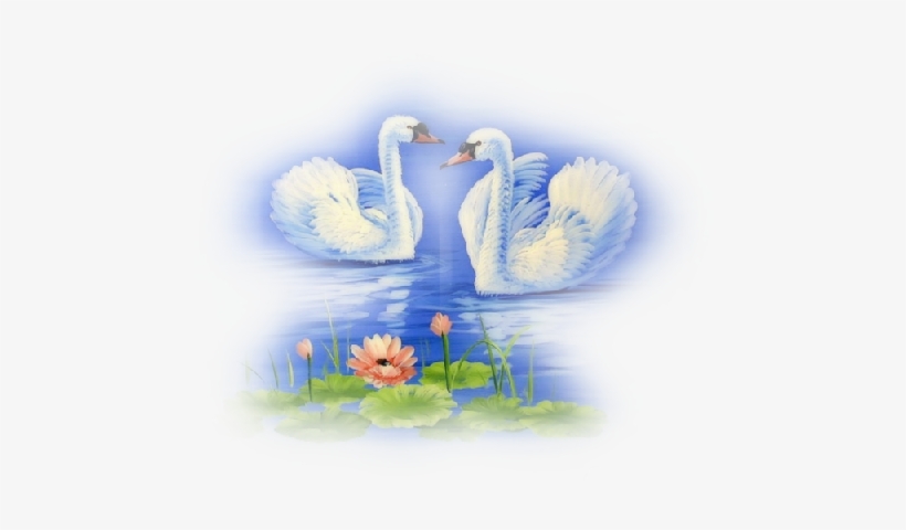 Лебеди - Freundschaftsbild, transparent png download