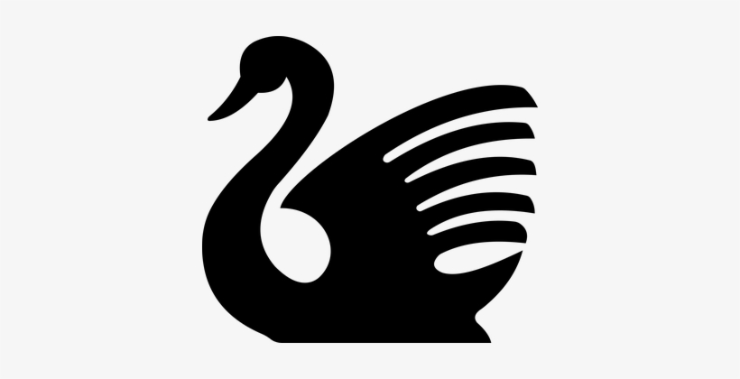 Swan Bird Animal Aquatic Water Swim Fly Fl - Swan Silhouette Png, transparent png download