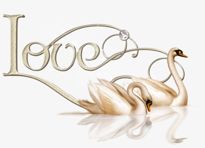 Swan Transparent Love - Swan Love, transparent png download