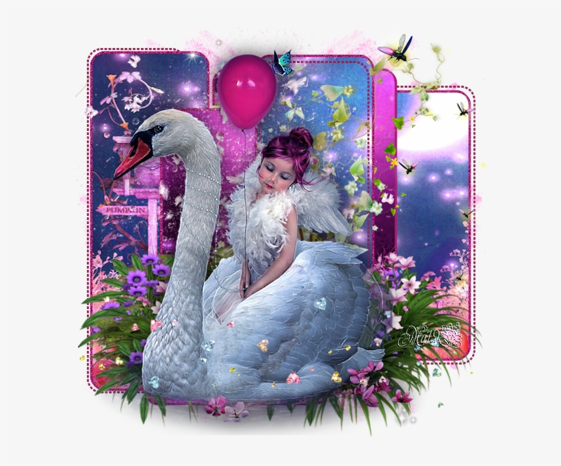 Bird - Képek, transparent png download