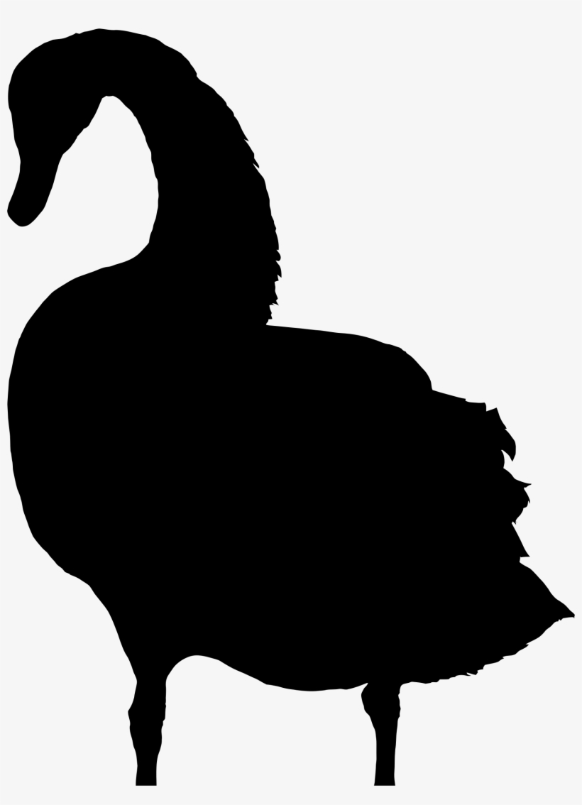 Swan Silhouette At Getdrawings - Silhouette Swan Clipart Transparent, transparent png download
