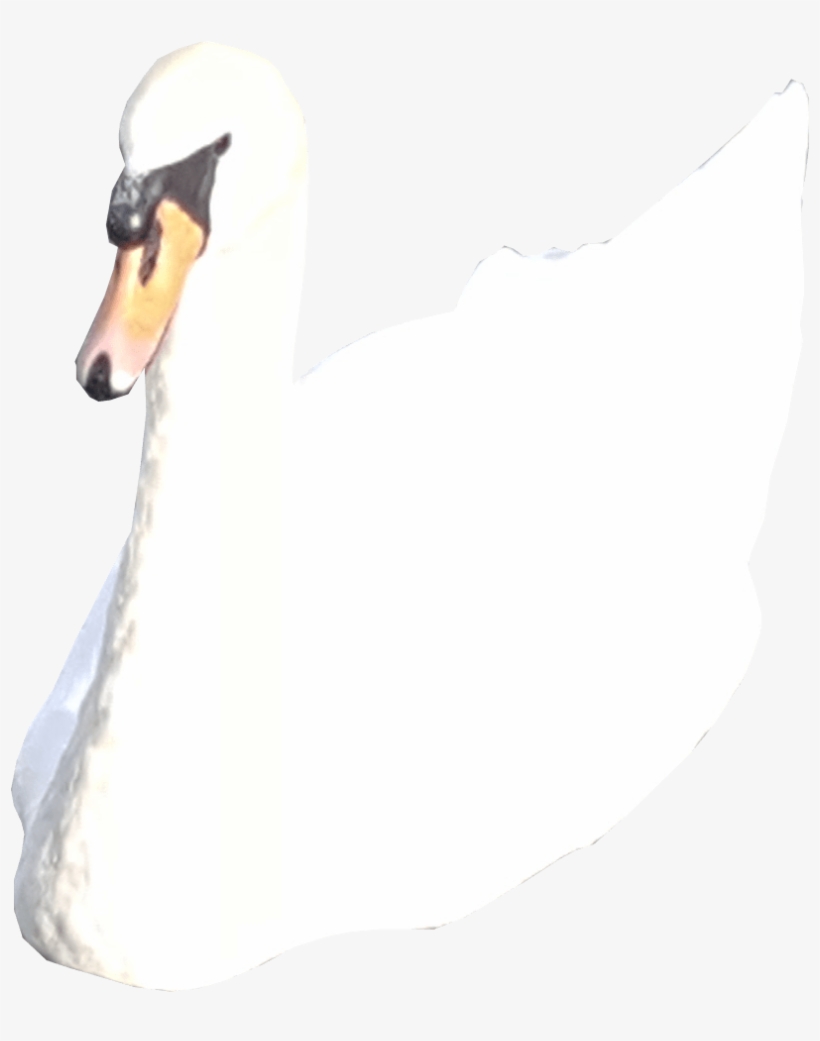 White Swan No Background - Portable Network Graphics, transparent png download