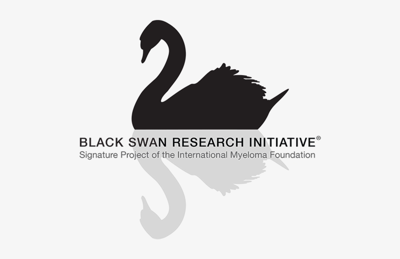 Black Swan Events, transparent png download
