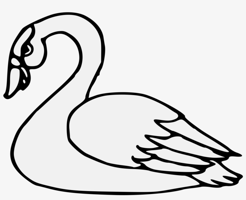 Details, Png - Duck, transparent png download
