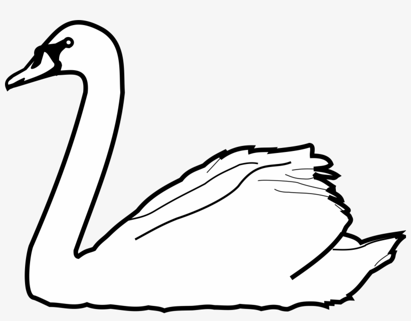 Drawn Swan Wildlife - Swan Clip Art Black And White, transparent png download