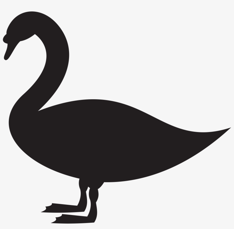 Swan Png, transparent png download