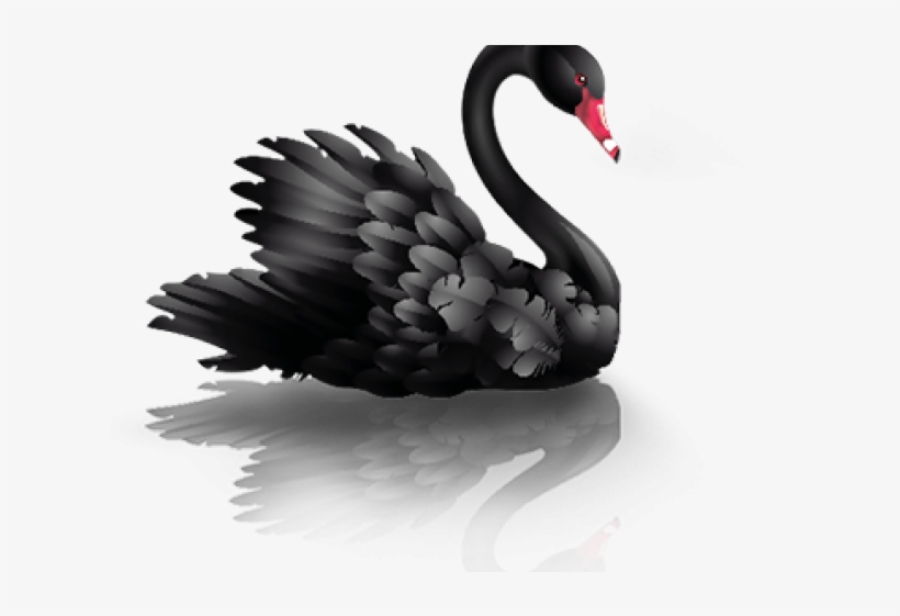 Swan Png Transparent Images - Swan Png, transparent png download
