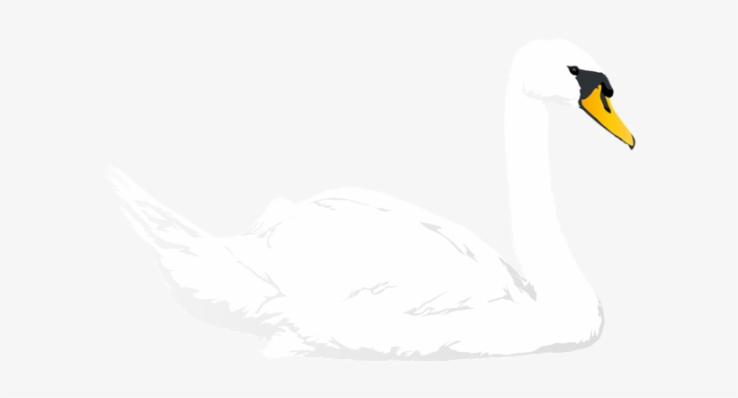 This Png Image - Illustration, transparent png download