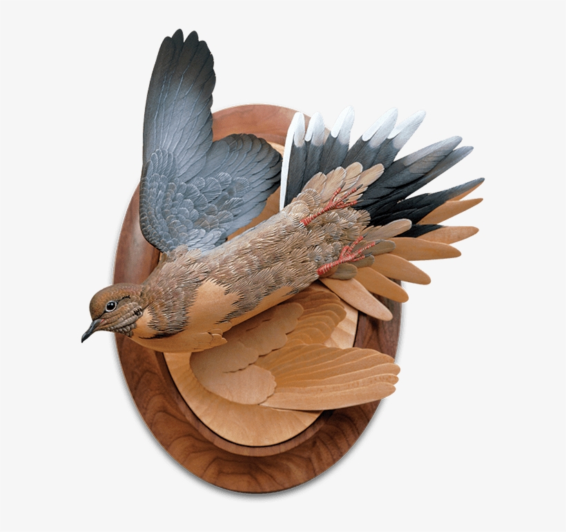 “my - Grainger Mckoy, transparent png download