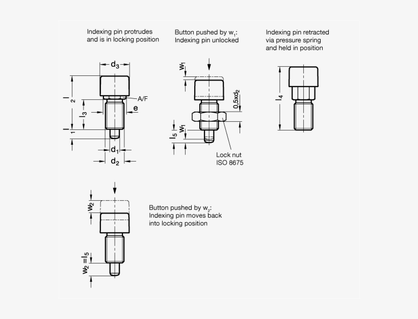 Locking Plungers With Pushpush Locking Mechanism Gn Push And Lock