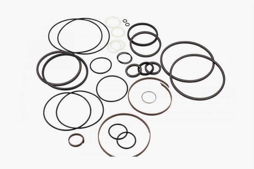 Seal, transparent png download