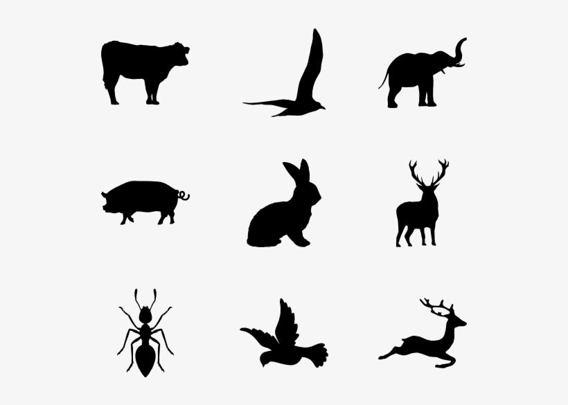 Animal Kingdom - Icono De Animales Png, transparent png download