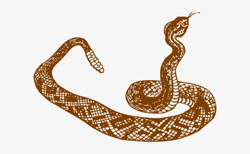 Snake - Serpiente Blanco Y Negro, transparent png download