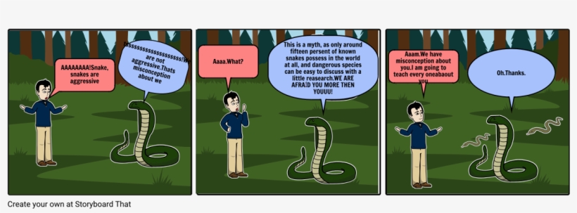 Misconception About Snakes - Cartoon, transparent png download