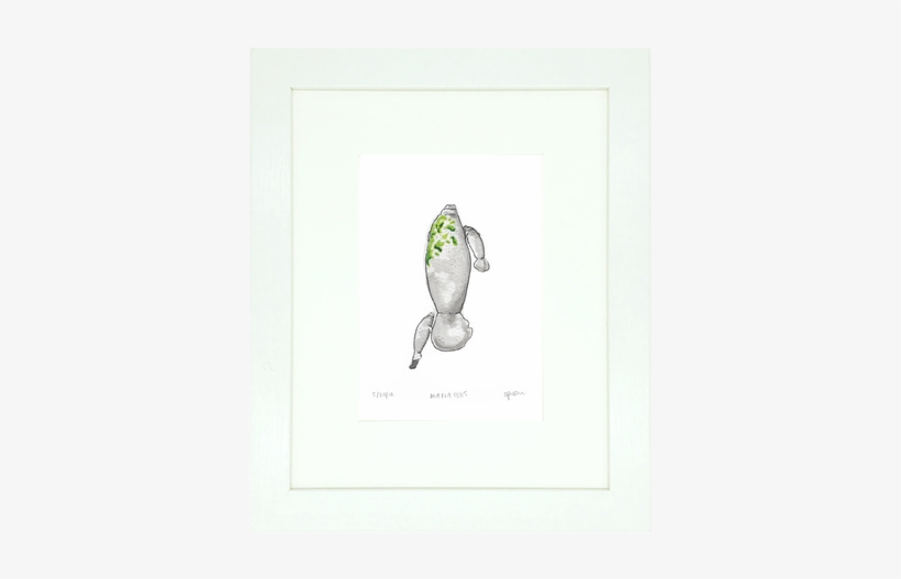 Manatees Typically Give Birth To Only A Single Calf - Cartoon, transparent png download