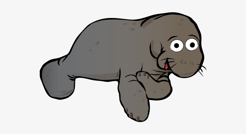 Manatee - Swimwest Swim School - Fitchburg, transparent png download