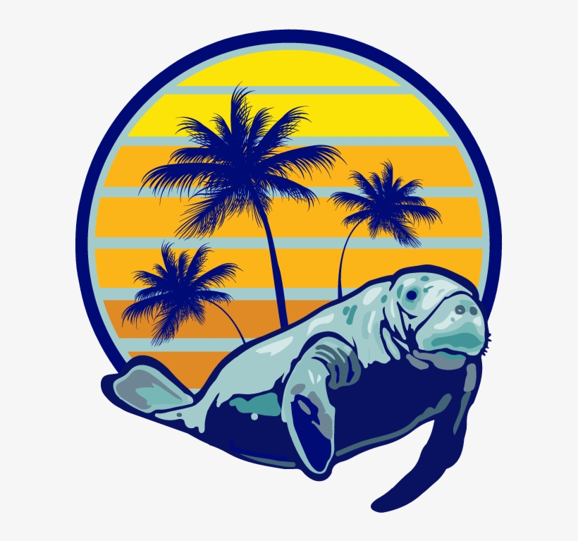 Manatee Png, transparent png download