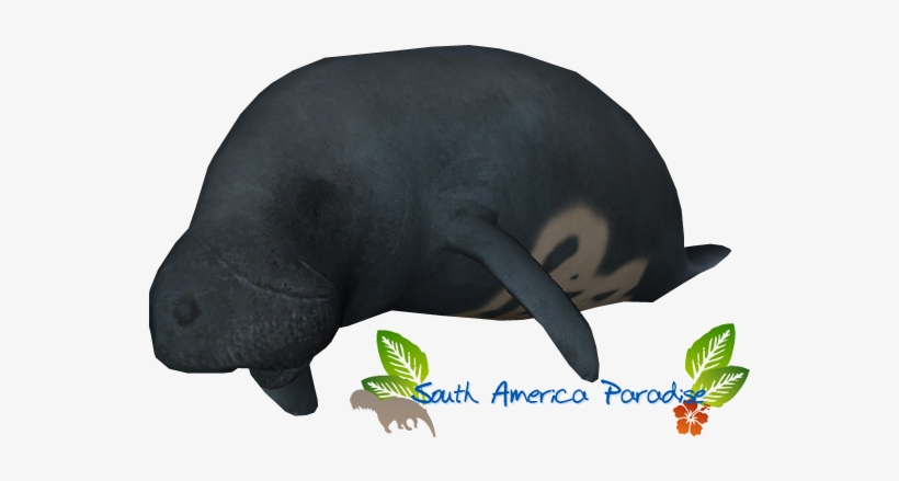 Amazonian Manatee - Zt2 Manatee, transparent png download