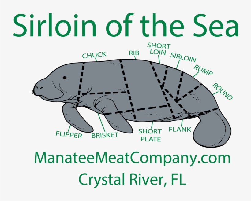 Unisex Short Sleeve Gilden Dry Blend Shirts - Manatee Meat, transparent png download