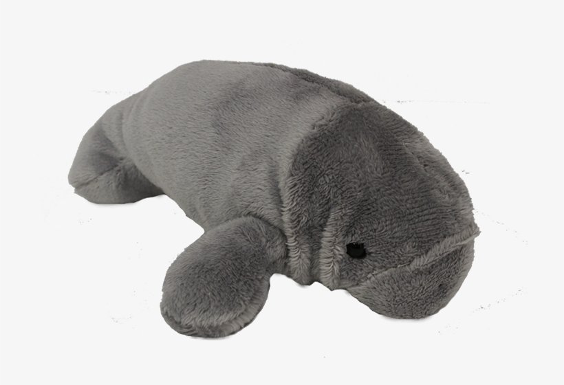 Plush Gray 9" Manatee - Manatee, transparent png download