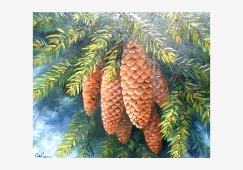 Quick Shop - Pond Pine, transparent png download