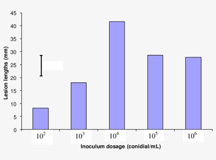 Effect Of Different Inoculum Doses On Mean Lengths - Educação Na America Latina, transparent png download