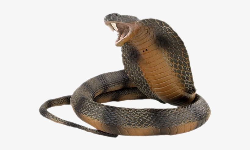 Tourist Spot In Bankura, transparent png download