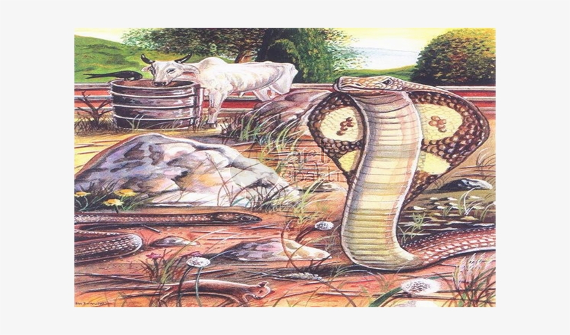 Watercolour Painting Cobra - Serpent, transparent png download