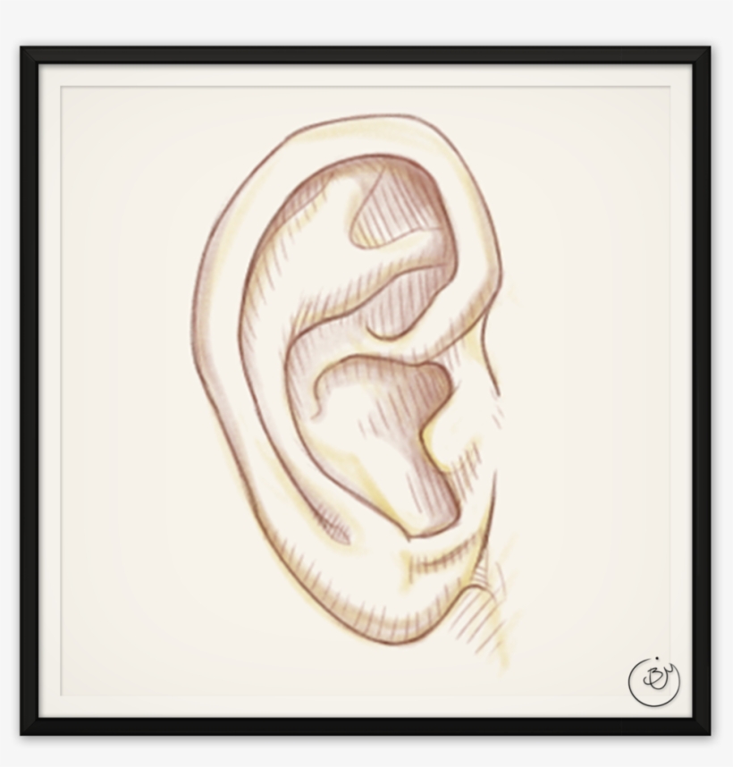 "ear" Flashcard - Flash Card Of Ear, transparent png download