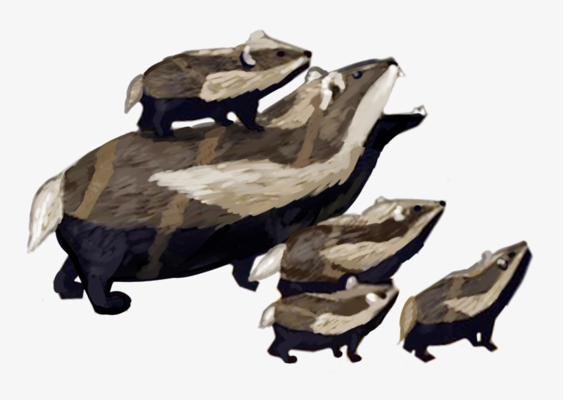 Play As The Role Of A Honey Badger - Animal Jam Honey Badger, transparent png download