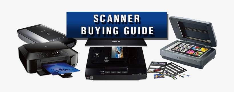 Scanner Buying Guide - Epson Expression 11000xl Pro A3 Flatbed Graphic Scanner, transparent png download