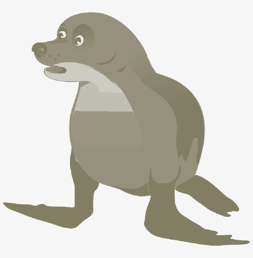 Mb Image/png - Pinniped, transparent png download