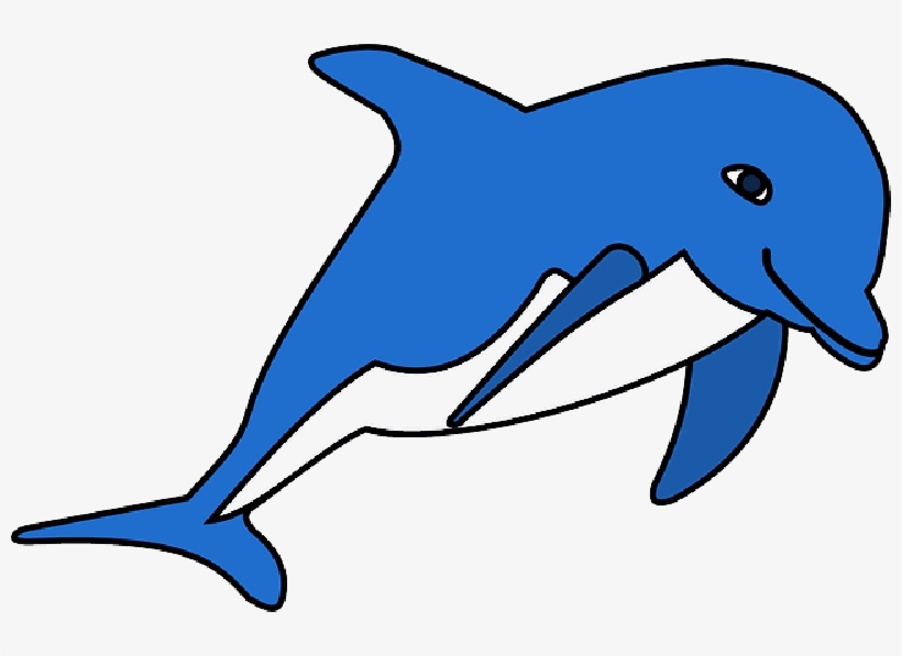 Mb Image/png - Clip Art Of Dolphin, transparent png download